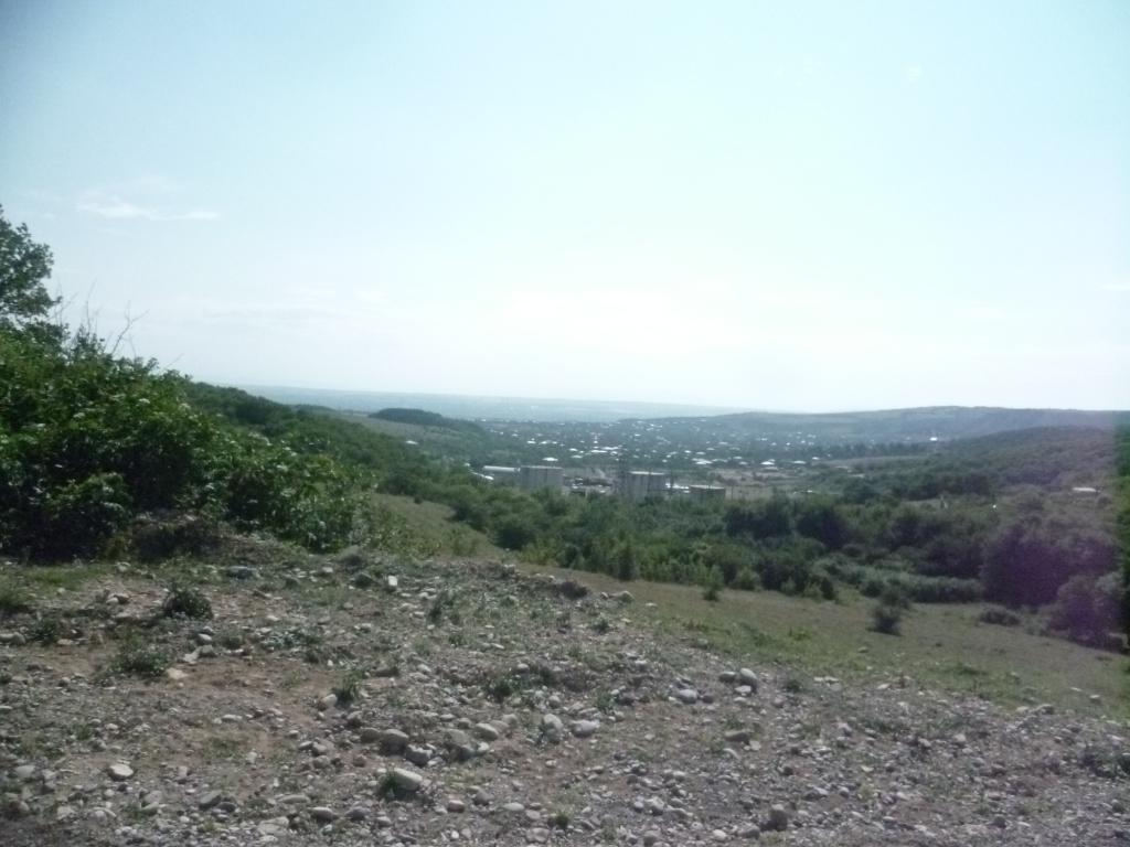 P1080192.JPG