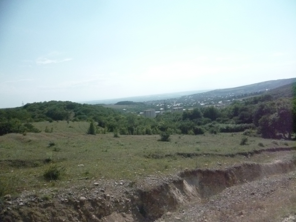 P1080193.JPG