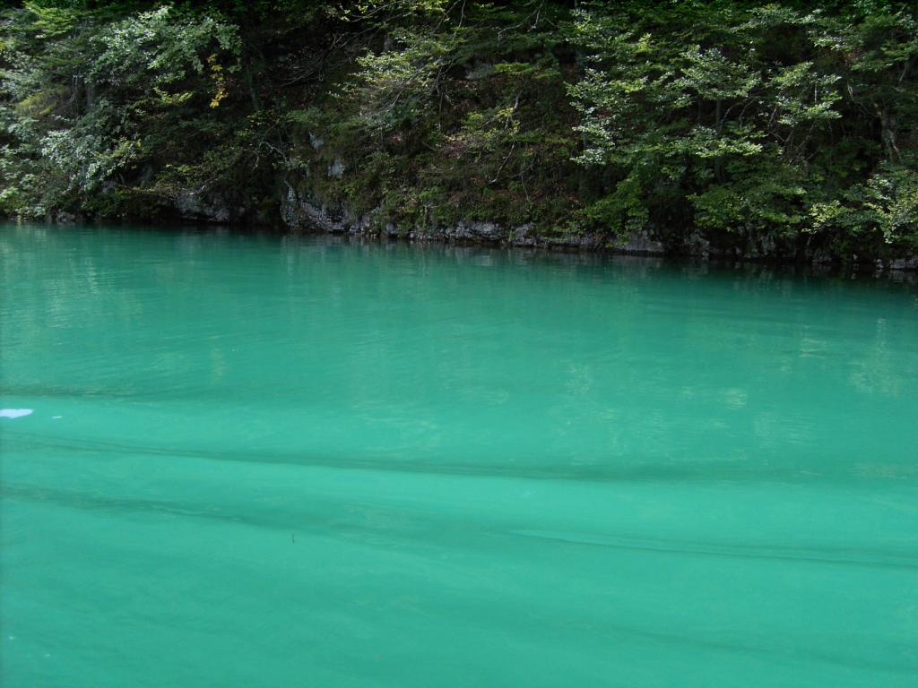 PICT2169.JPG