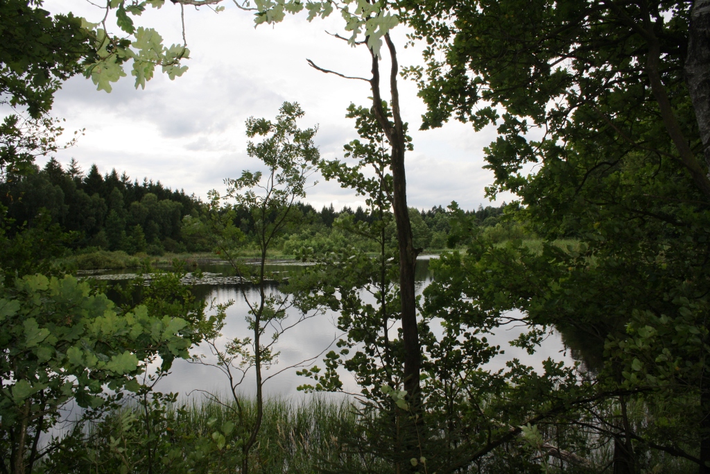 IMG_5990.JPG