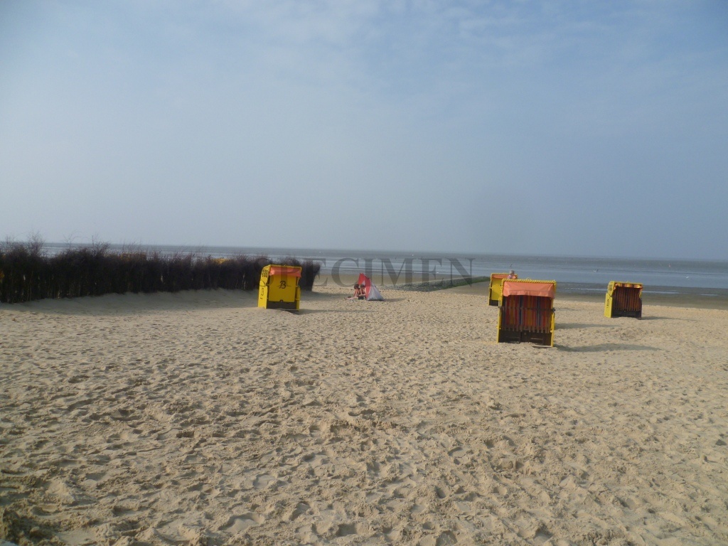 P1080894.JPG